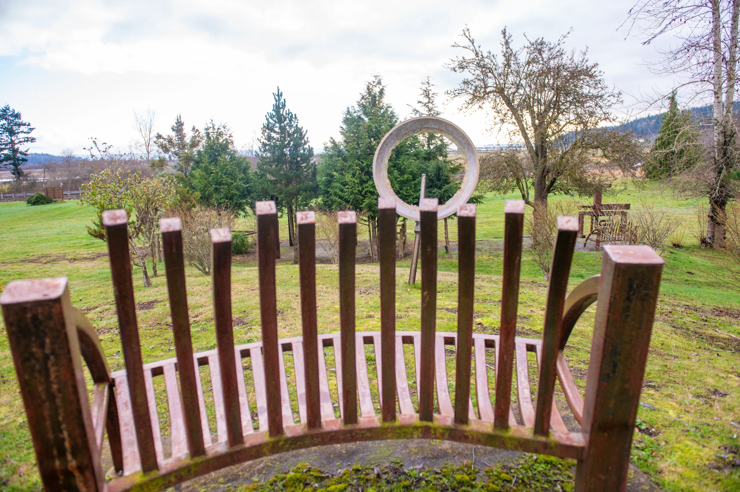 Bench with a View — photo 2