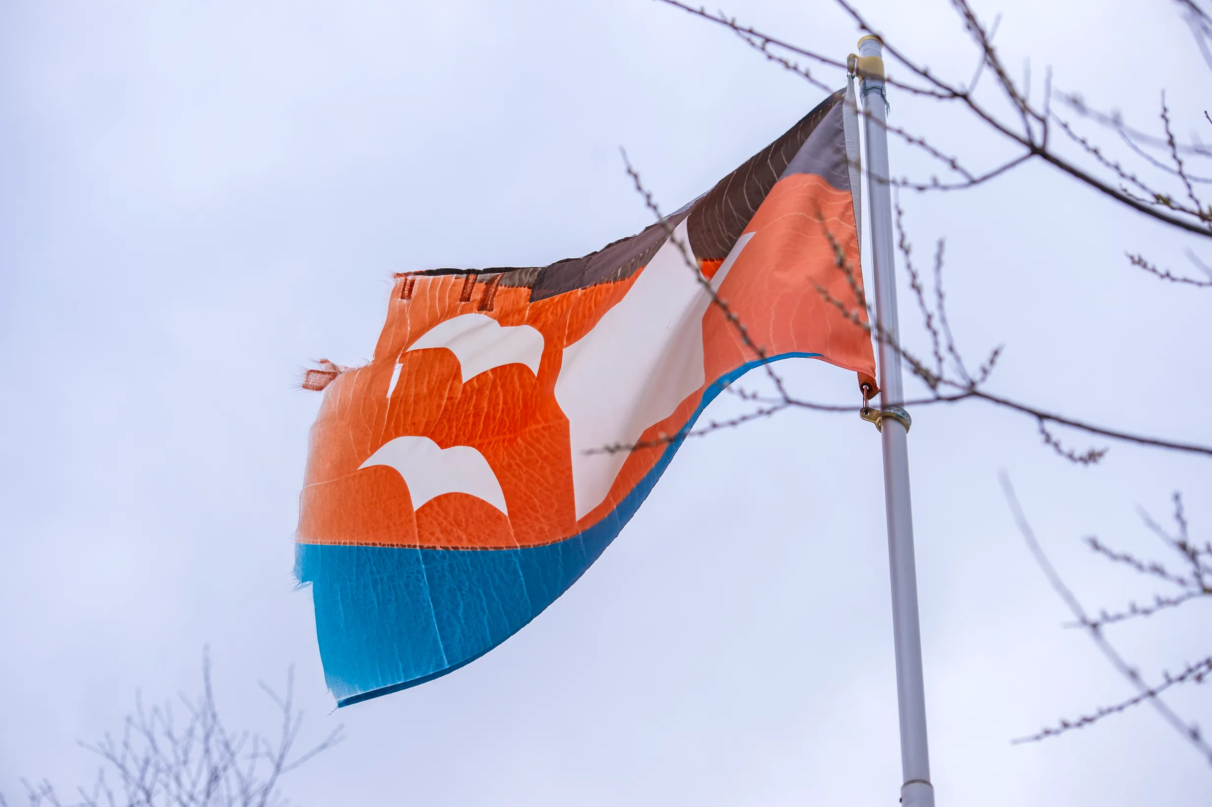 Flag of Peace on Sandy Hill by Danny Koffman at Freedom Park
